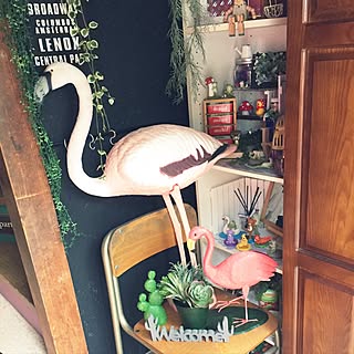 玄関/入り口/ニトリ♡/フェイクグリーン/ニトリのサボテン/ニトリのフラミンゴのプランター...などのインテリア実例 - 2017-04-30 08:05:01
