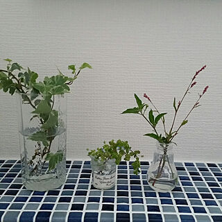 植物 雑草水差しのインテリア実例 Roomclip ルームクリップ