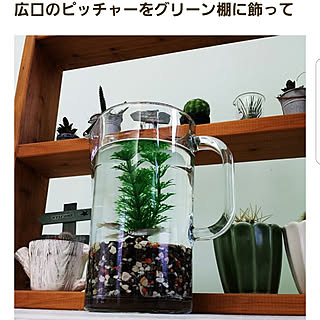 ガラス メダカのインテリア実例 Roomclip ルームクリップ