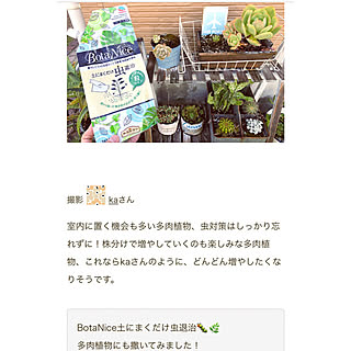 多肉 コメントありがとうございます のインテリア実例 Roomclip ルームクリップ