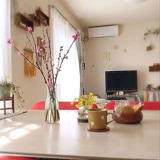 おせんべいも好き♡/適当&半端なオヤツ/お茶の時間/オンシジューム/今月もよろしくお願いします✨...などのインテリア実例 - 2019-03-01 08:21:33