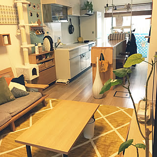 ニトリ キャットウォークdiyのインテリア 手作りの実例 Roomclip ルームクリップ