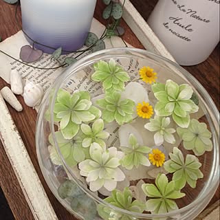 水に浮かべたお花 のインテリア実例 Roomclip ルームクリップ 水に浮かべたお花 のインテリア実例 Roomclip ルームクリップ