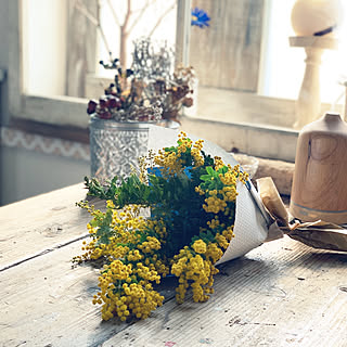 ミモザのスワッグ/ミモザ/花のある暮らし/一人暮らしインテリア/賃貸インテリア...などのインテリア実例 - 2019-03-10 03:54:23