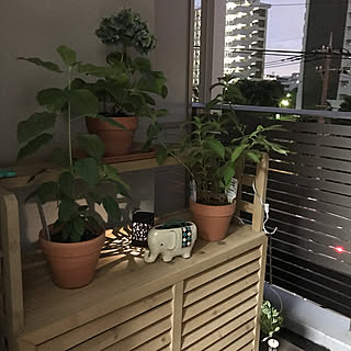 ベランダ 虫対策のインテリア実例 Roomclip ルームクリップ