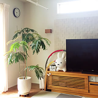 高窓のあるリビング/時計のある風景/任天堂スイッチ/ミッフィー/テレビボード...などのインテリア実例 - 2019-05-29 09:31:44
