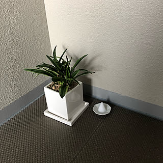玄関 入り口 盛り塩のインテリア実例 Roomclip ルームクリップ 玄関 入り口 盛り塩のインテリア実例 Roomclip ルームクリップ