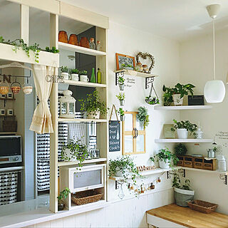 観葉植物 キッチンカウンター上のインテリア実例 Roomclip ルームクリップ