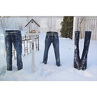 フローズンパンツ/バードフィーダー/手作り/インテリアどころか外！/暇を持て余した主婦の遊び…...などのインテリア実例 - 2018-02-14 15:03:34