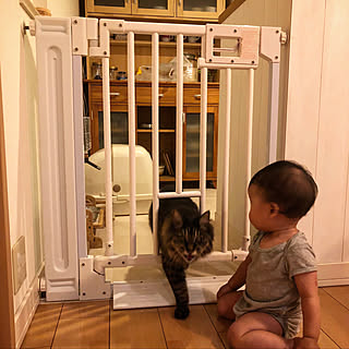 猫 ベビーゲートのおしゃれなアレンジ 飾り方のインテリア実例 Roomclip ルームクリップ