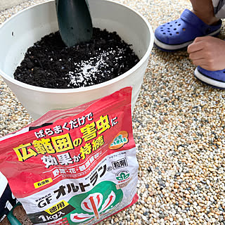 家庭菜園初心者/ガーデニング初心者/ベランダガーデン/オルトランDX/防虫剤...などのインテリア実例 - 2020-05-18 22:07:18