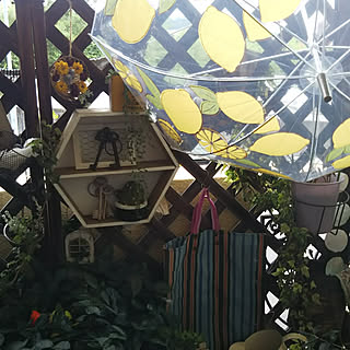 バス/トイレ/キラキラ生活☆/本人満足 ( ¯﹀¯ )/あれもこれも好き♥︎/楽しまんとね♪...などのインテリア実例 - 2019-08-28 19:02:25