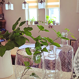 キッチン/花のある暮らし/植物のある部屋/緑のある暮らし/海外インテリアに憧れる...などのインテリア実例 - 2019-04-03 09:06:22