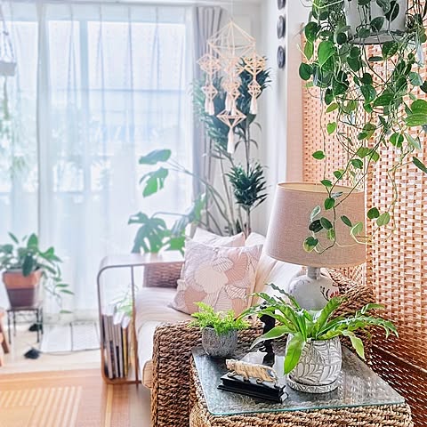 CiFSの画像