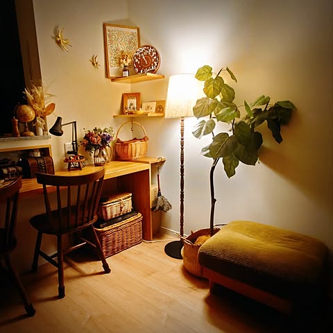 CitTの画像