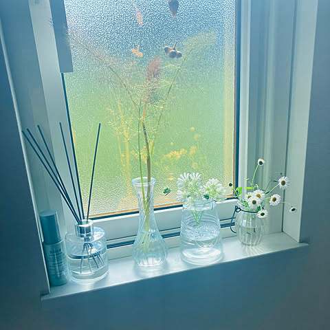 CSkeの画像