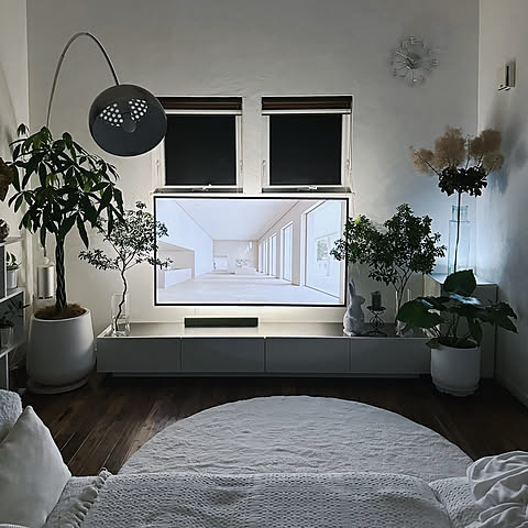 CiU1の画像