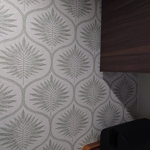 CINbの画像