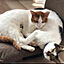 hana_home_and_catsさんのアイコン画像