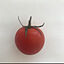 tomatoさんのアイコン画像