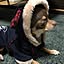 kagusyuraさん