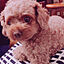Mikaさんのアイコン画像