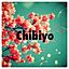 chibiyoさん