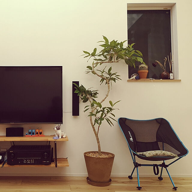 miyaのスタープラチナ-壁掛けテレビ金具 金物 TVセッターフリースタイル GP137 Mサイズの家具・インテリア写真