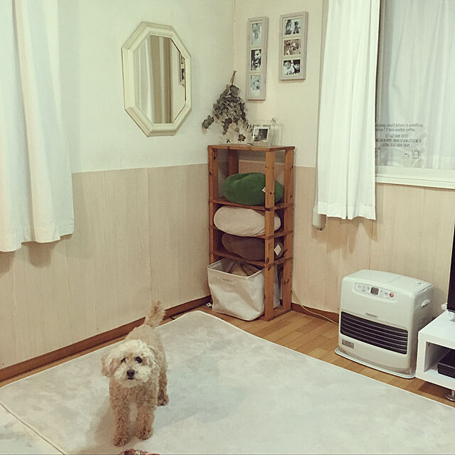 yukarimamaのイケヒコ・コーポレーション-ラグ カーペット 『ピオニー』 ブラウン 約92×185cm (ホットカーペット対応) 9810229の家具・インテリア写真