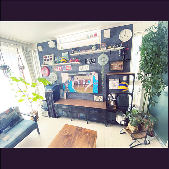 yunari-coの-【セラアート鉢】フィカス・ウンベラータ7号【受け皿付き】【大型】の家具・インテリア写真