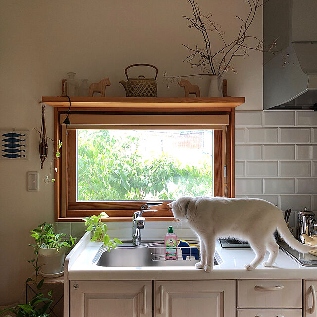 mimiの-フロッシュ 食器用洗剤 ザクロ(300ml)【フロッシュ(frosch)】の家具・インテリア写真
