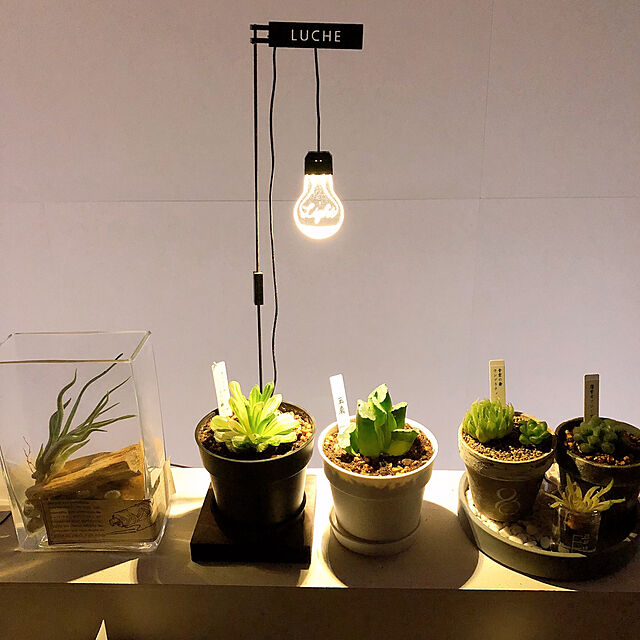 coco518の-LUCHE(ルーチェ) LEDスタンドライト ザ・ライト 植物栽培 インテリア ライト【あす楽対応】の家具・インテリア写真