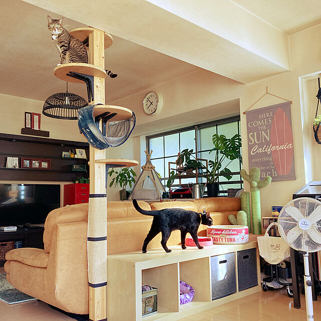 suemonta14の誠文堂新光社-猫がよろこぶ快適な部屋づくり: 猫の習性を考えたインテリア実例100の家具・インテリア写真