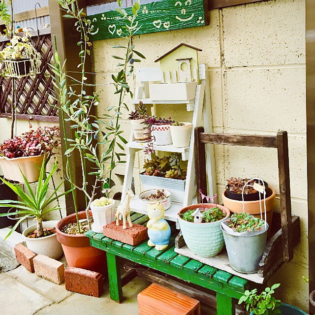 takakoの-多肉植物 『 ルビーネックレス 』 7.5cmポット苗 （ 鉢と受け皿プレゼント ）の家具・インテリア写真