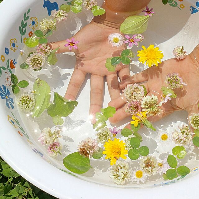 chikuwaのアクシス-お花ベイシン A648 ホーロー洗面器 【ナチュラル キッチン雑貨 Natural】の家具・インテリア写真