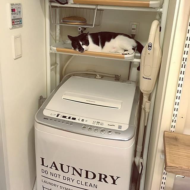 mikomaruの-ウォールステッカー おしゃれ ランドリー4 ウォールステッカー ランドリーシリーズ laundry wallpaper wall sticker はがせる 壁紙 シール アクセント ホーム デコレーション モノトーン メール便 送料無料 洗濯機の家具・インテリア写真