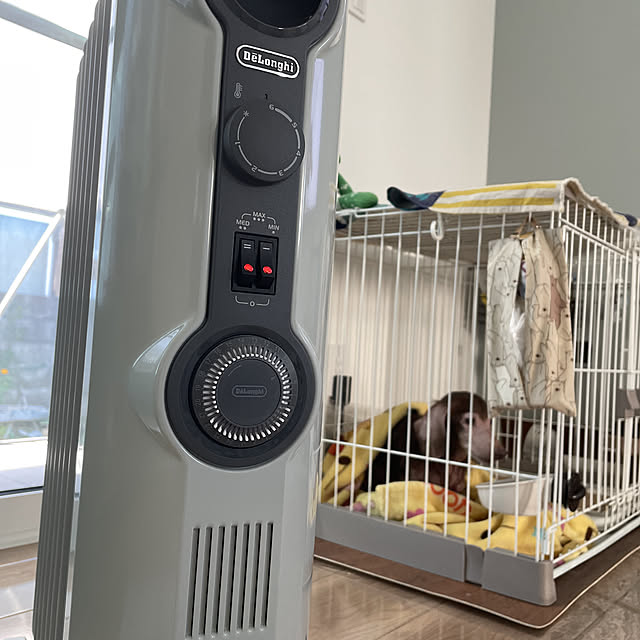 人気商品セール デロンギ・ジャパン オイルヒーター RHJ11G0 812-DG