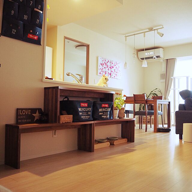 y.k.0123の-食器台 猫 まんま台 餌台 ラウンドROUND ダブル ひっくり返らない 倒れない シニア 国産 日本製の家具・インテリア写真