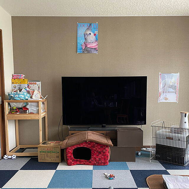 naoのニトリ-ローボード(ギャラリー120 MBR & BK） の家具・インテリア写真