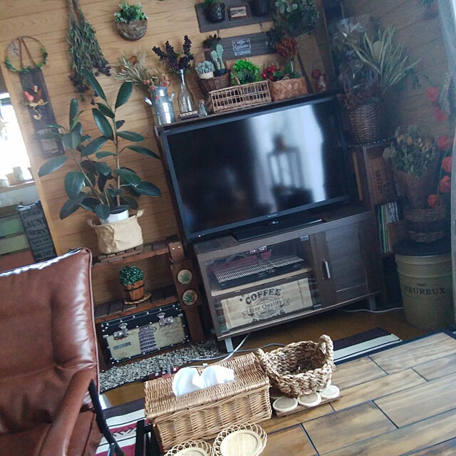 Brown.Lifeの-キングプロテアのドライフラワーAの家具・インテリア写真