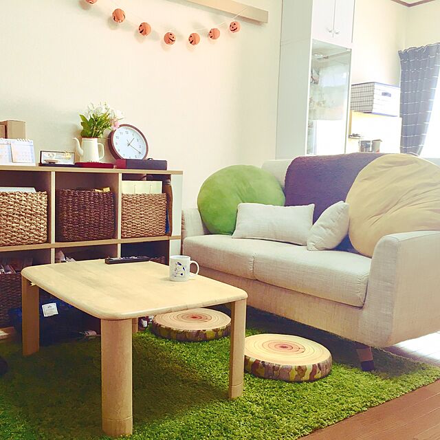 sepiaのニトリ-モチモチクッション(MYE 60R) の家具・インテリア写真