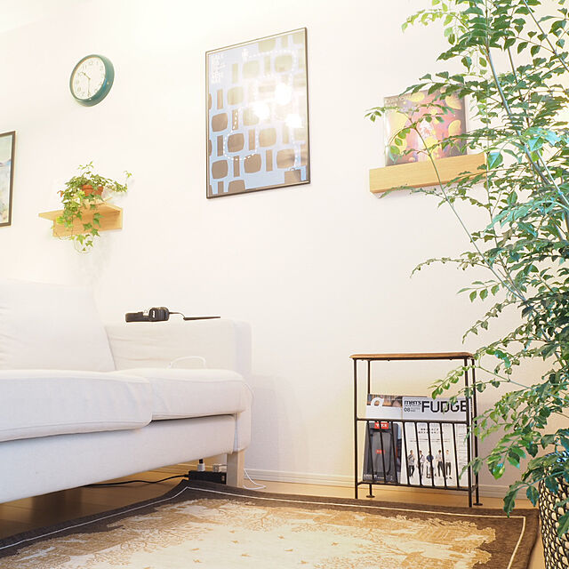 Kazuki___roomの-ヘデラヘリックス 白雪姫3号ポットの家具・インテリア写真