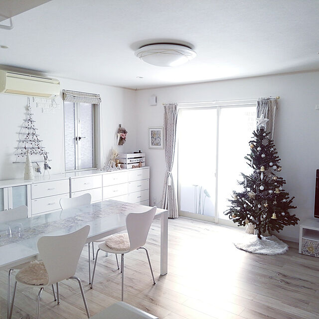 nyantarouのニトリ-ラダーツリー(ラダーツリー ED2022169 n2AN) の家具・インテリア写真