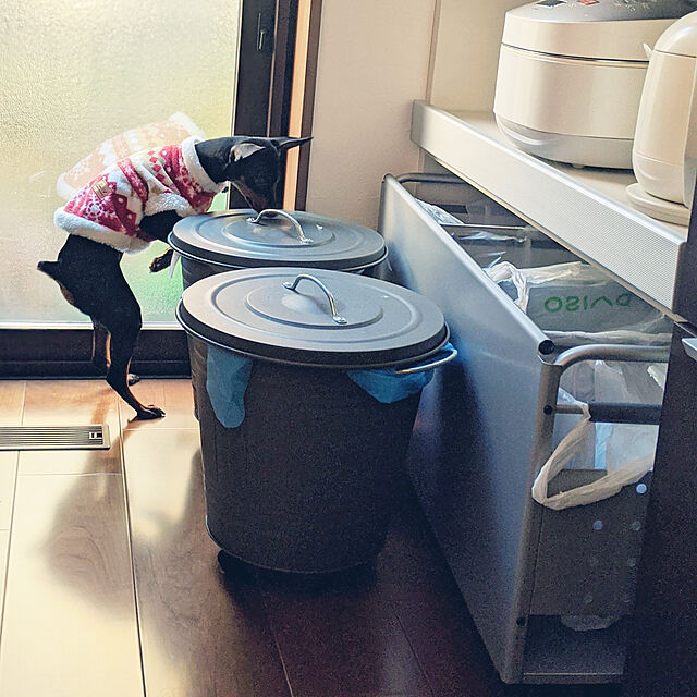 shizuponのイケア-[IKEA/イケア/通販]KNODD クノッド ふた付きゴミ箱, グレー[CB](b)(20312251)の家具・インテリア写真