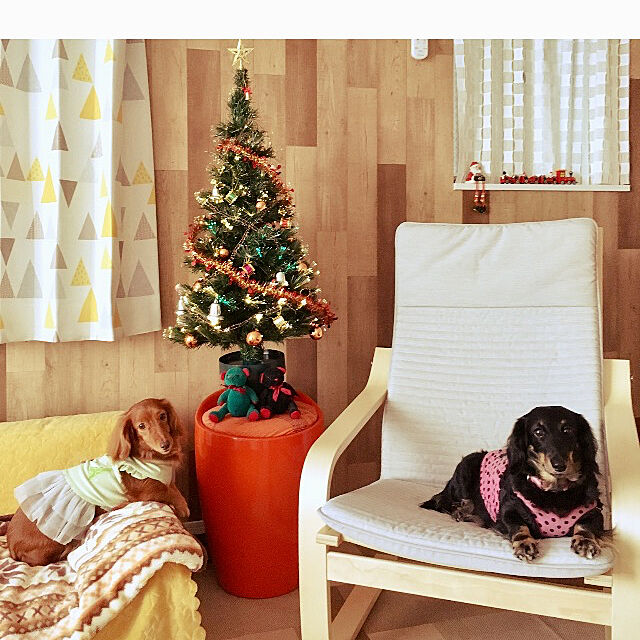 Maiのイケア-IKEA イケア POANG ポエング アームチェア クニーサ ブラック バーチ材 突き板 Newデザインの家具・インテリア写真
