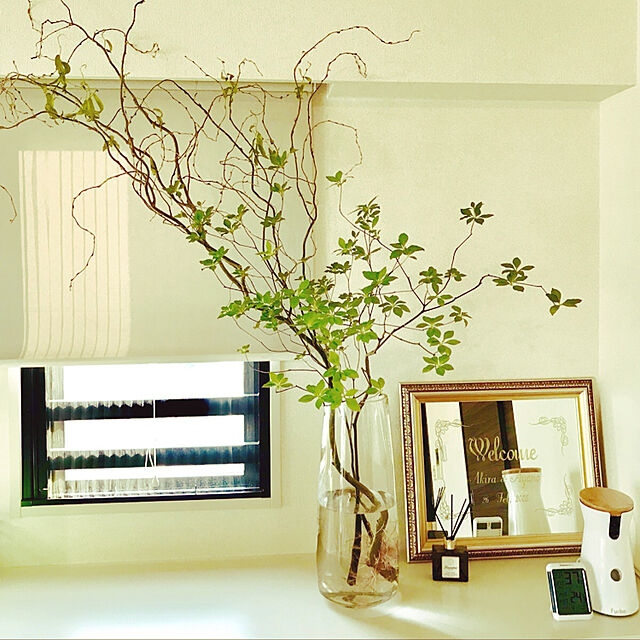 amanoaのイケア-IKEA イケア 花瓶 クリアガラス 高さ45cm d60327948 BERAKNA ベレークナの家具・インテリア写真