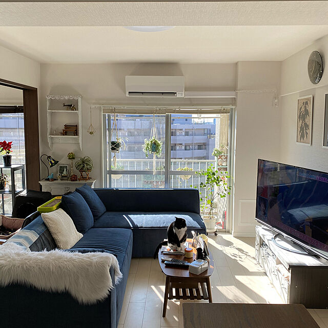 coconyantaのニトリ-布張りコーナーソファ(右カウチ サルト2 RE) の家具・インテリア写真
