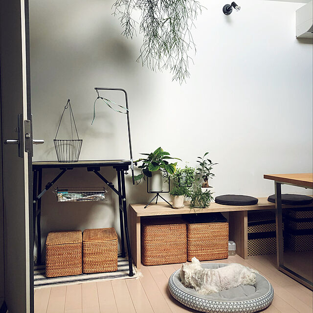 Fuyueのニトリ-犬・猫用ペットベッド Ｌ(NクールWSPo-iマルGY L) の家具・インテリア写真