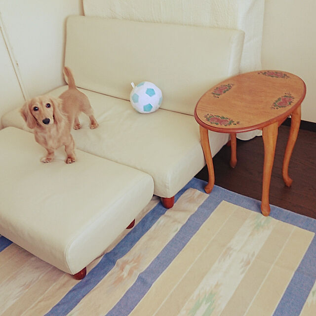 JUNMARIKAのニトリ-布張りカジュアルソファ(リバティー2 GY) の家具・インテリア写真