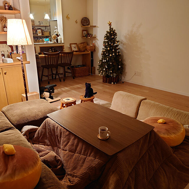 anri193のニトリ-トップスター(プレート ゴールド AH n2YT) の家具・インテリア写真